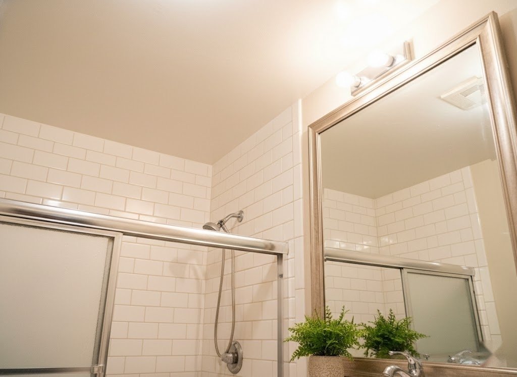 Black Mold Removal Albuquerque Team